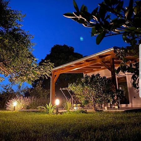 Holiday House Lucia Sukošan Dış mekan fotoğraf