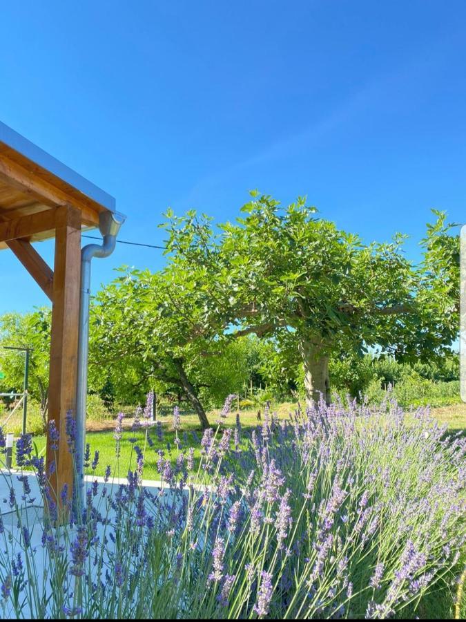 Holiday House Lucia Sukošan Dış mekan fotoğraf