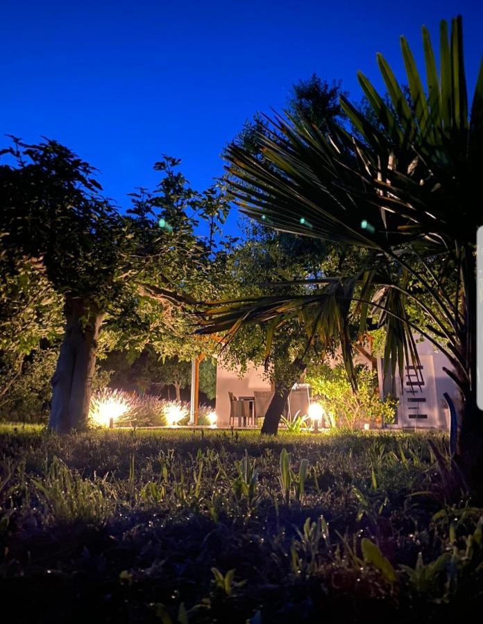 Holiday House Lucia Sukošan Dış mekan fotoğraf