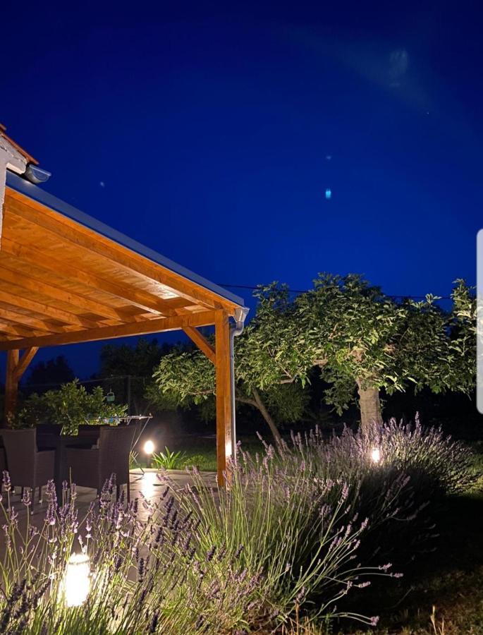 Holiday House Lucia Sukošan Dış mekan fotoğraf
