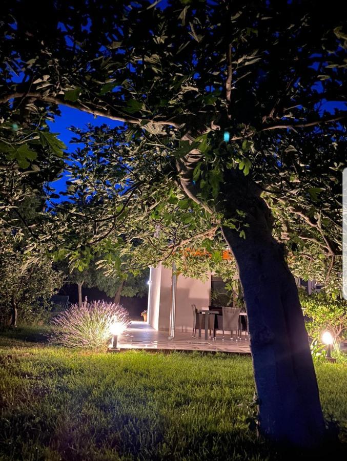 Holiday House Lucia Sukošan Dış mekan fotoğraf